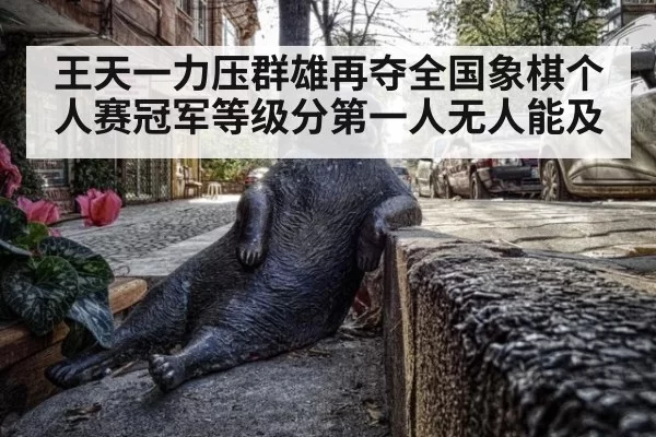 王天一力压群雄再夺全国象棋个人赛冠军等级分第一人无人能及